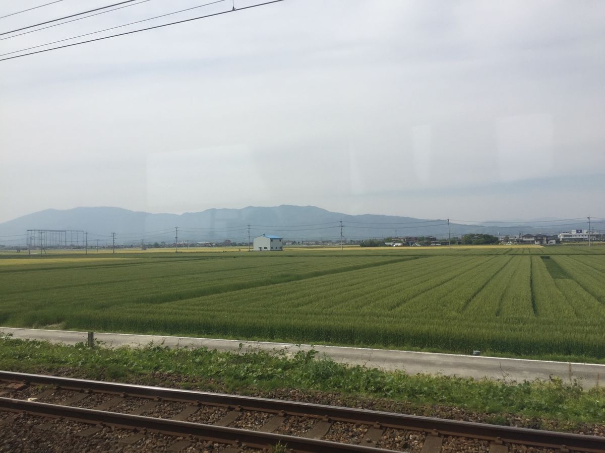 行くなら佐賀市内より唐津かな。