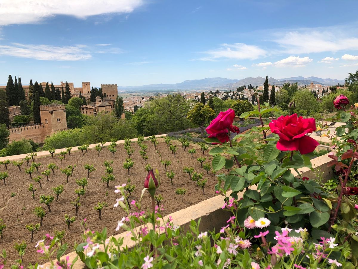 ヘネラリフェの庭園。
アルハンブラ宮殿から思ったよりも遠くて、
ヘトヘトだ...