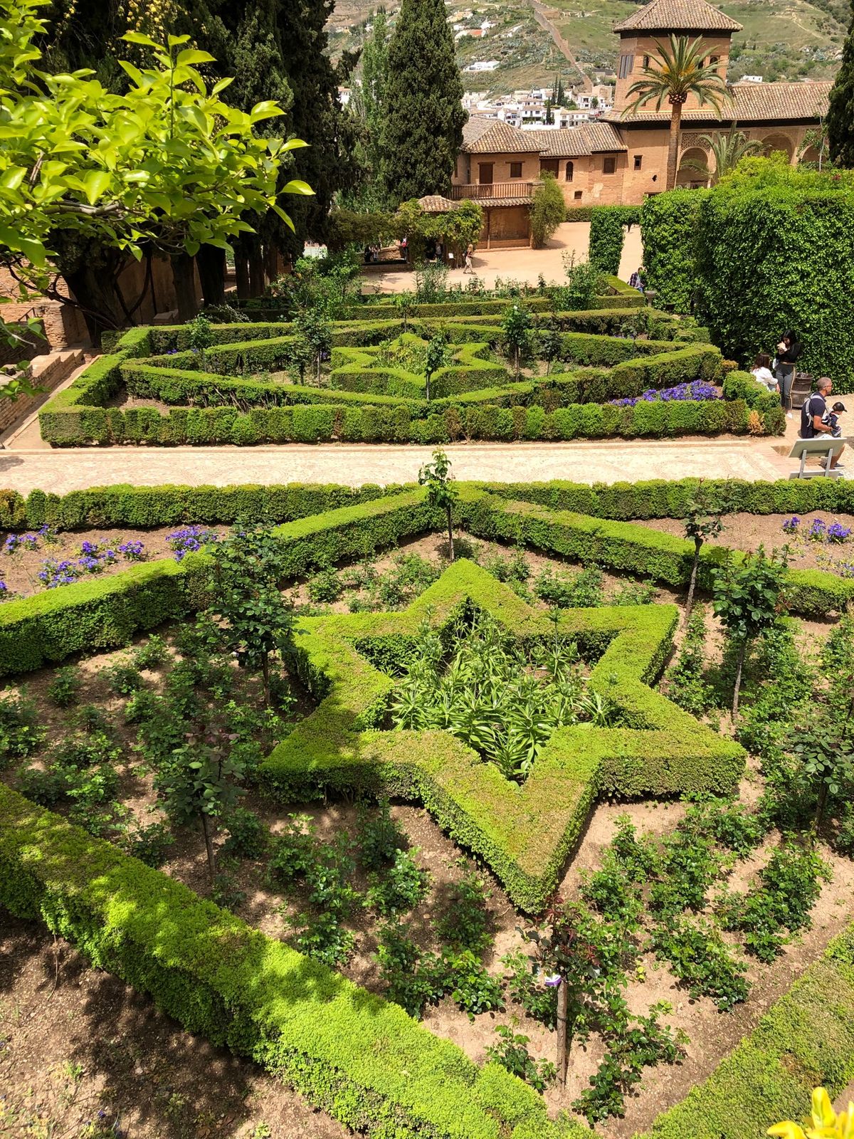 ヘネラリフェの庭園。
アルハンブラ宮殿から思ったよりも遠くて、
ヘトヘトだ...