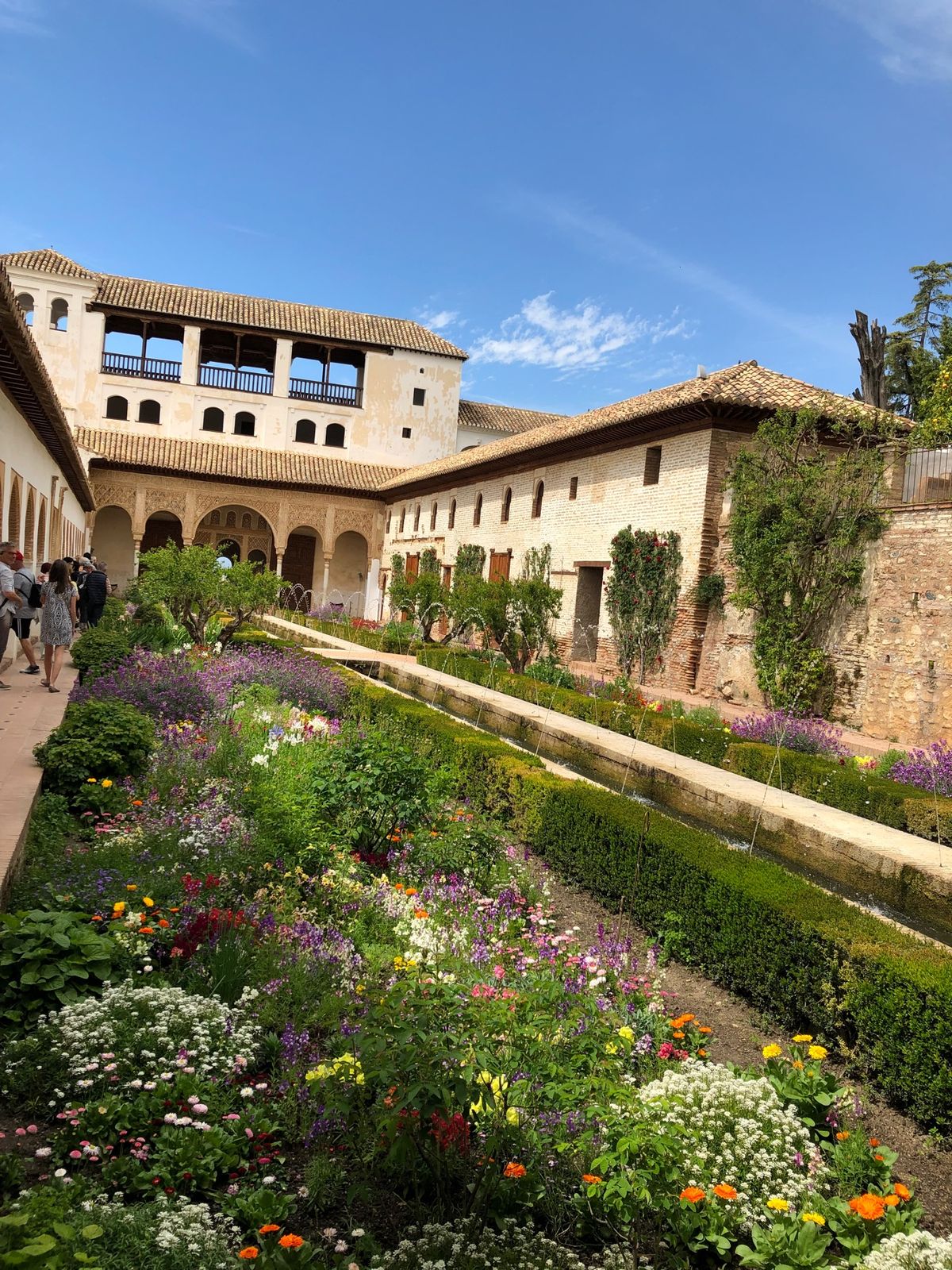 ヘネラリフェの庭園。
アルハンブラ宮殿から思ったよりも遠くて、
ヘトヘトだ...
