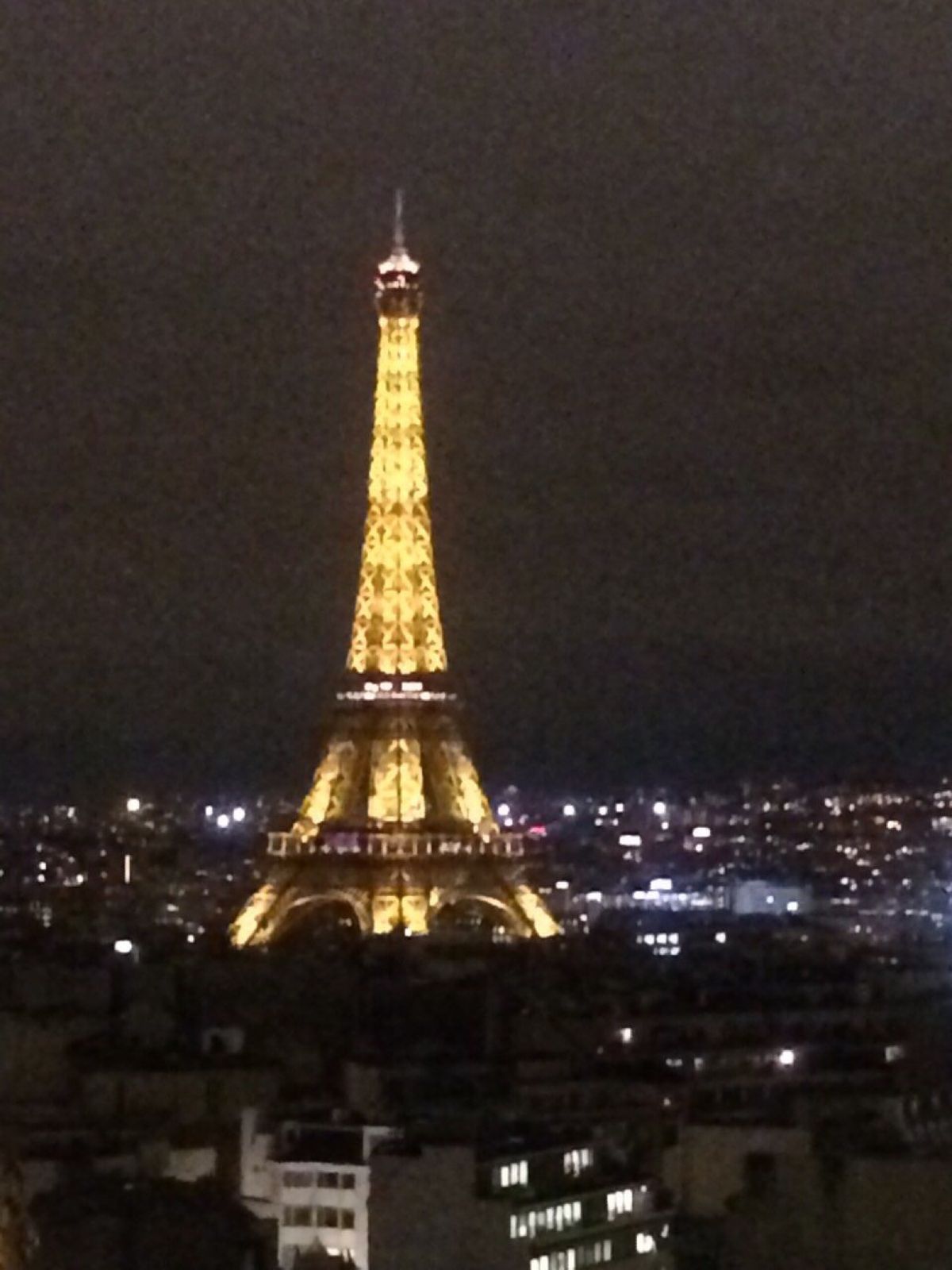 夜のエッフェル塔。
曇りのエッフェル塔。