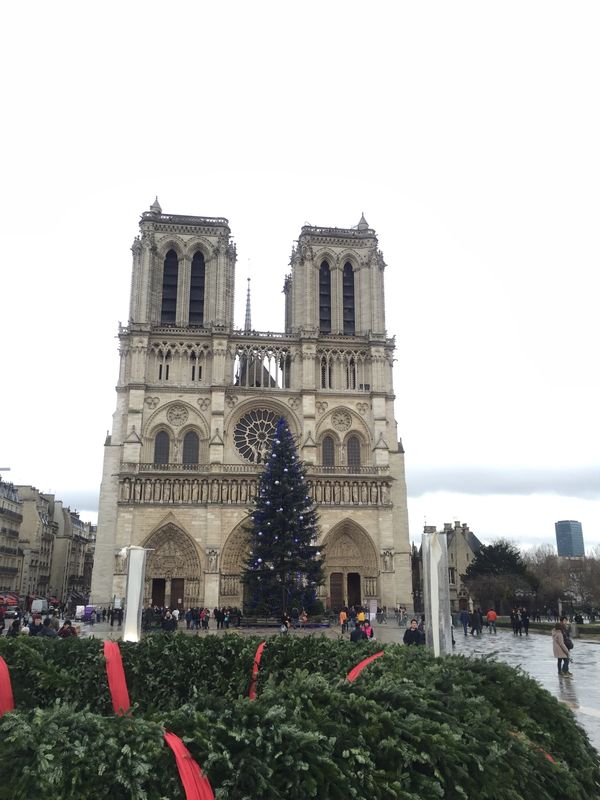 フランス・パリ「Xmasのパリ」の写真：シテ島のノートルダム大聖堂。
大聖堂の前...