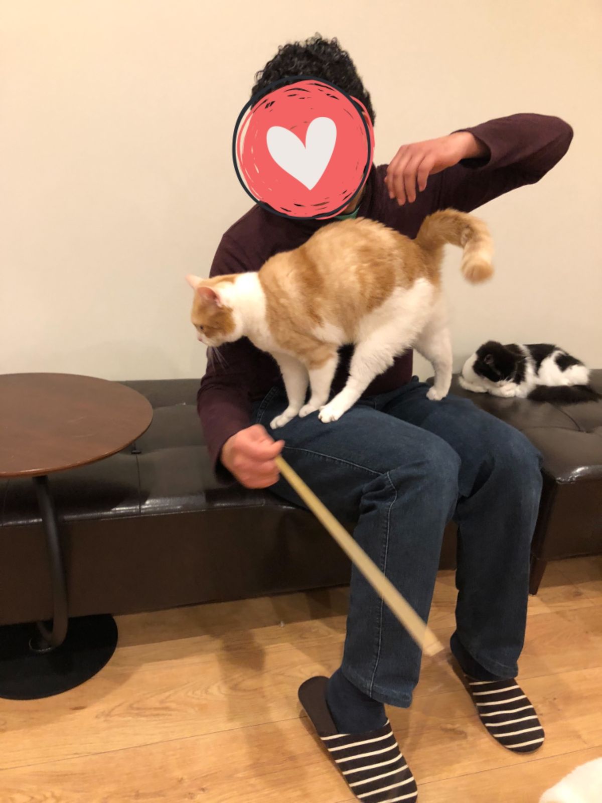 猫様がやっと側に寄ってきてくれて
歓喜のエジプト人