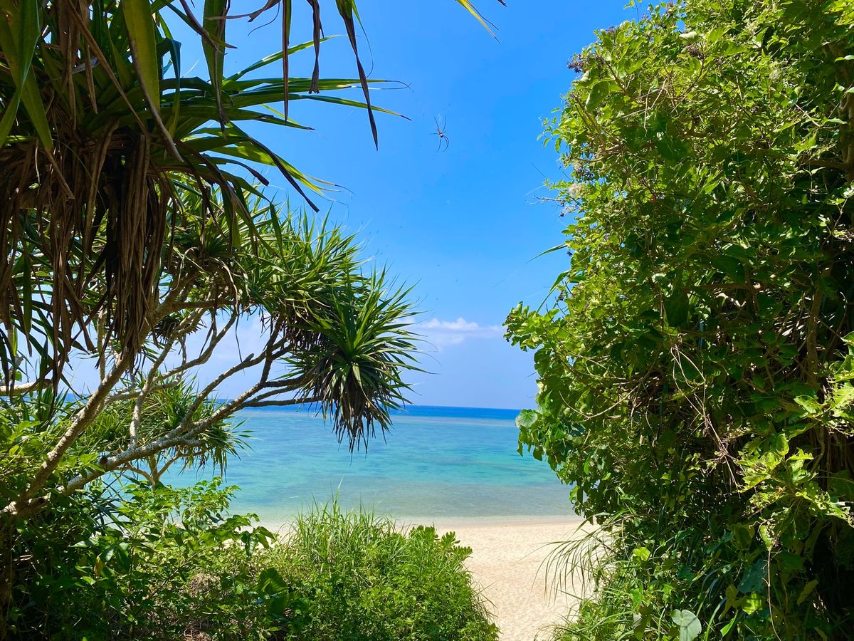 ざねー浜

インスタ映えと有名な写真スポット
窓枠風に写真撮ろうとすると
...