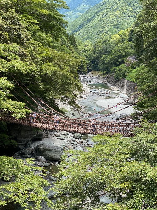 日本・徳島県「徳島出張」の写真