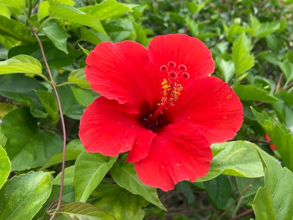 日本「初めての沖縄♡」の写真：今年初の台風が近づいてて天気悪かった😂
...