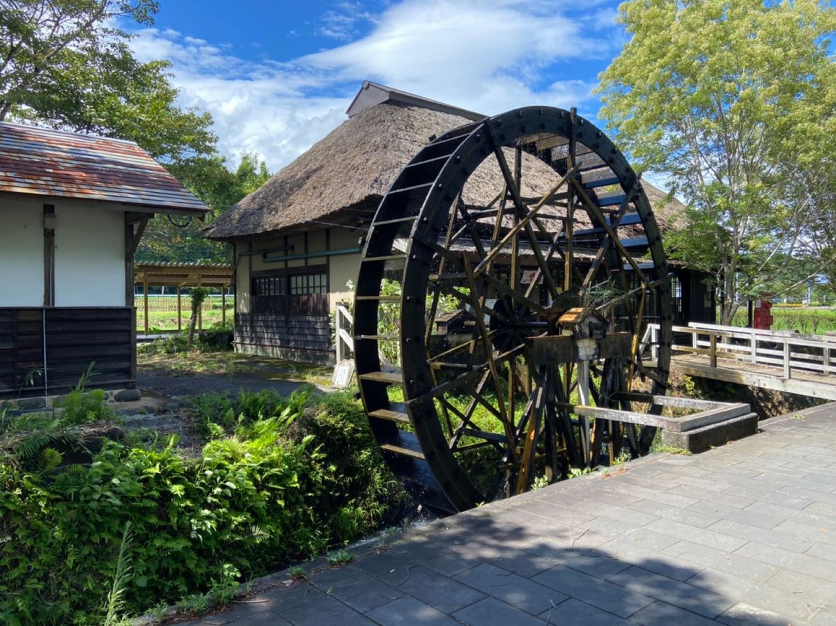 散歩に最適
雨だったので少し増水してたのもあり、大迫力でした