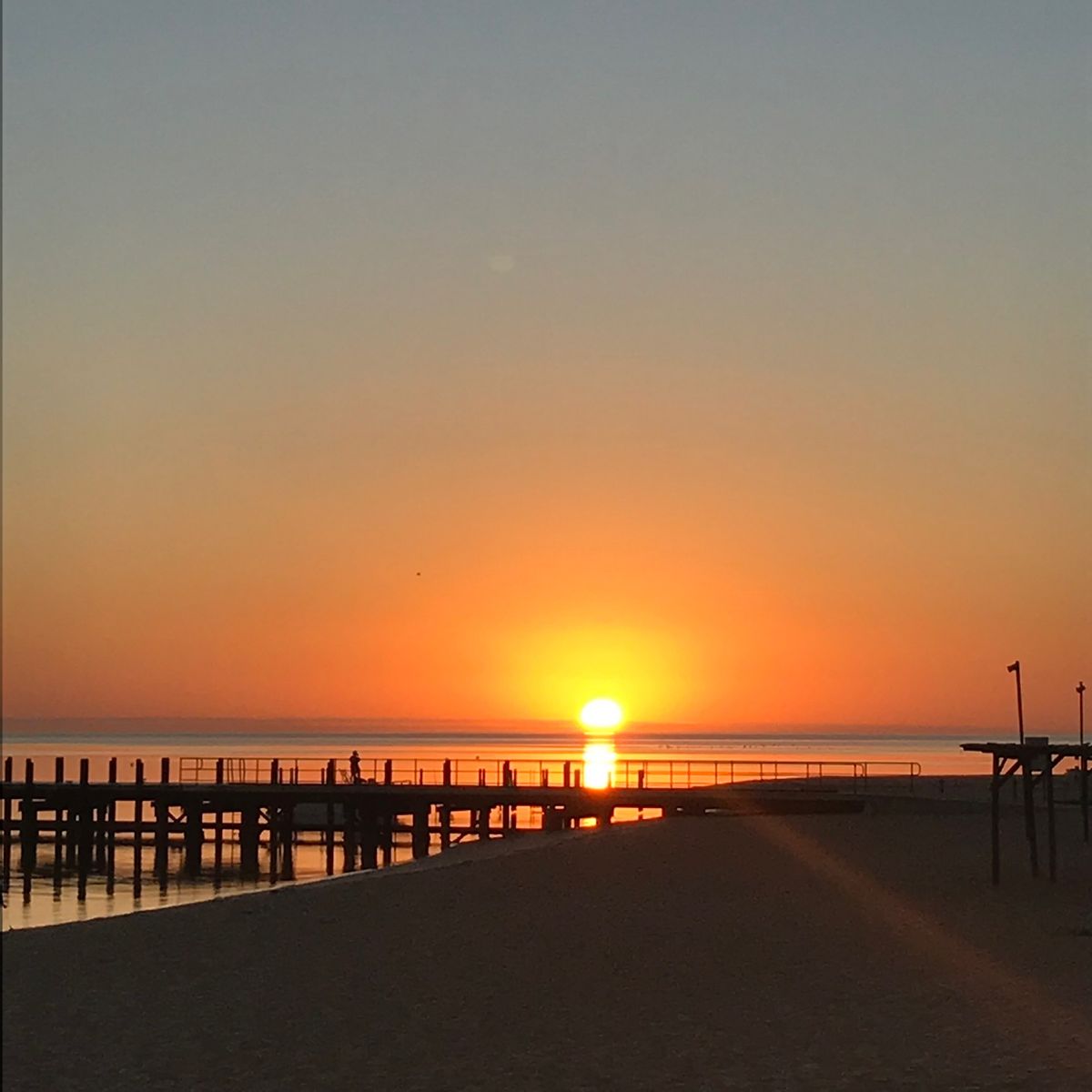 パースから約830km北上して、ついにシャークベイへ。世界遺産です。
あま...