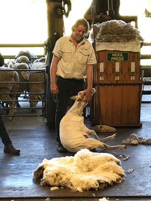 パースでレンタカーを借り、北へ向けて出発。
まずはカバシャム・ワイルドライ...