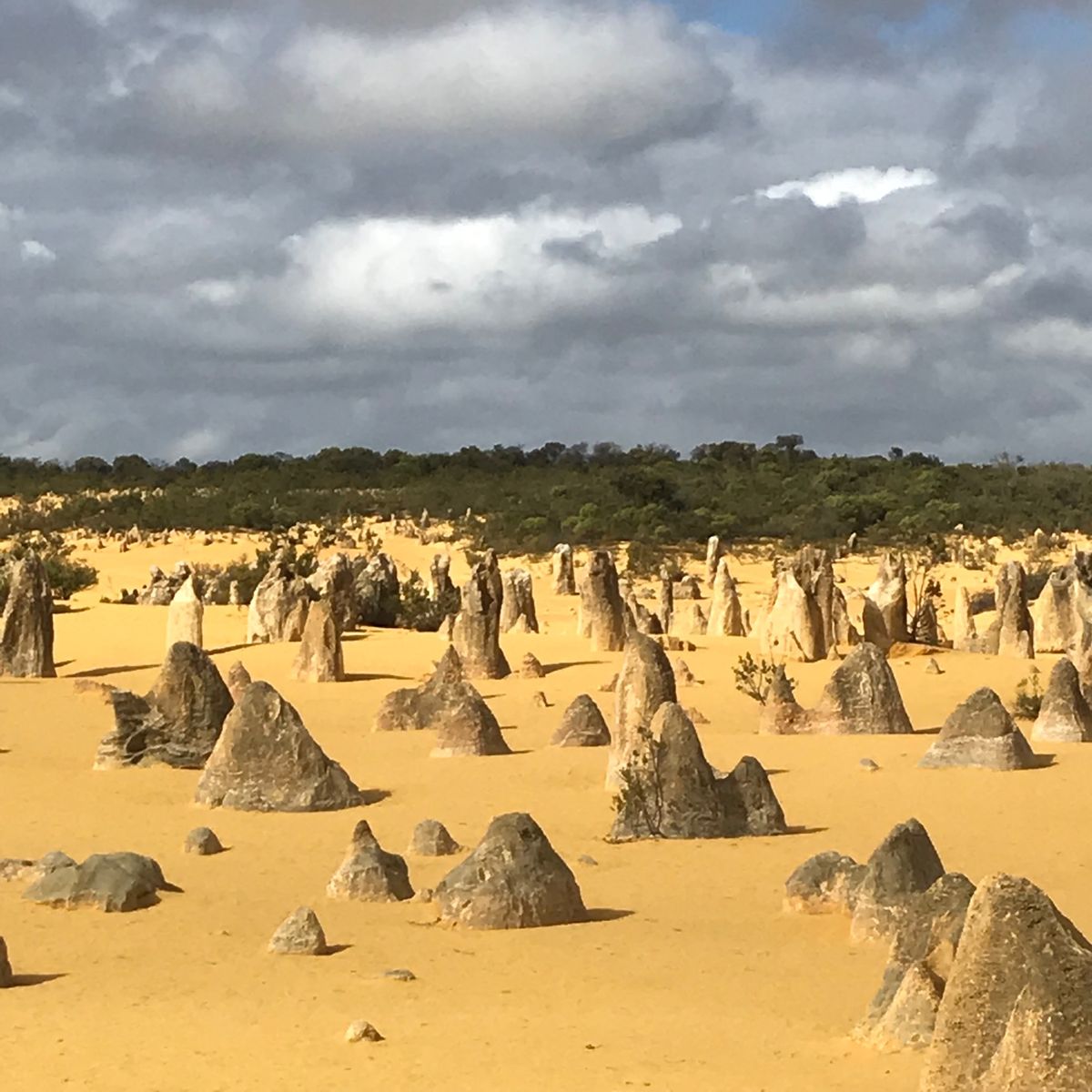 オーストラリアには珍しい動物標識がある。
車でけっこうなスピードで走ってる...