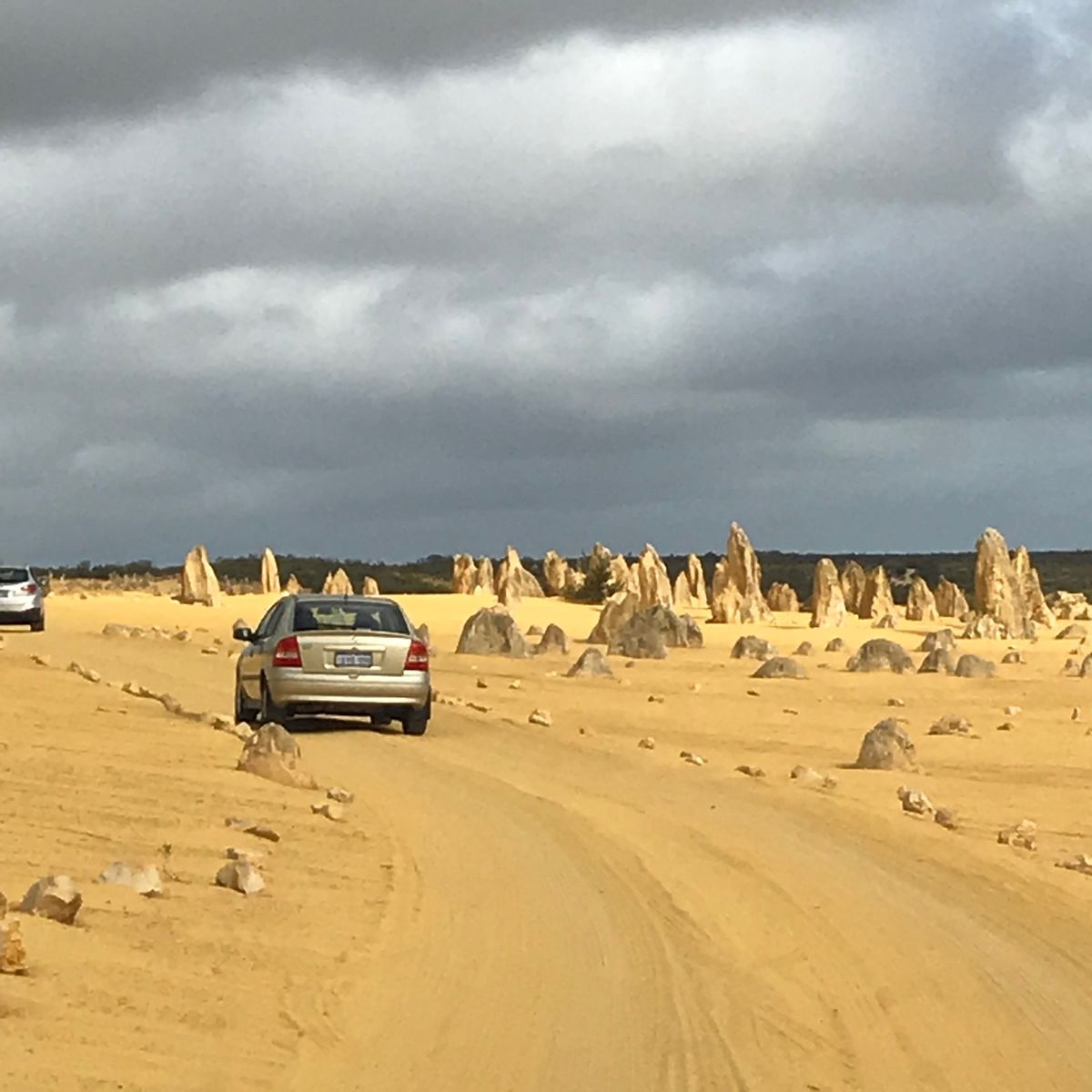 オーストラリアには珍しい動物標識がある。
車でけっこうなスピードで走ってる...