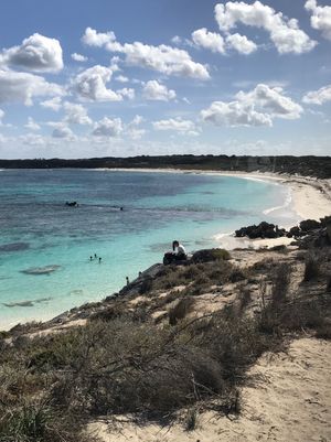 クオッカに会いにフェリーでロットネスト島へ⛴
自転車でまわる事も考えたけど...
