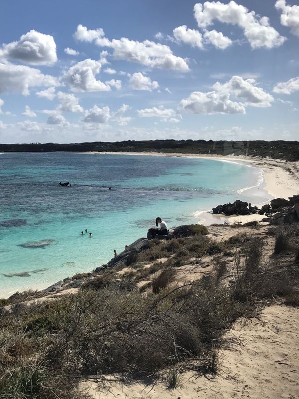 香港・香港「香港経由 西オーストラリアの旅」の写真：クオッカに会いにフェリーでロットネスト島...