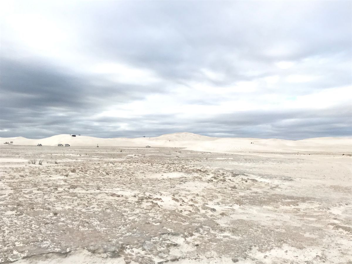 オーストラリアには珍しい動物標識がある。
車でけっこうなスピードで走ってる...