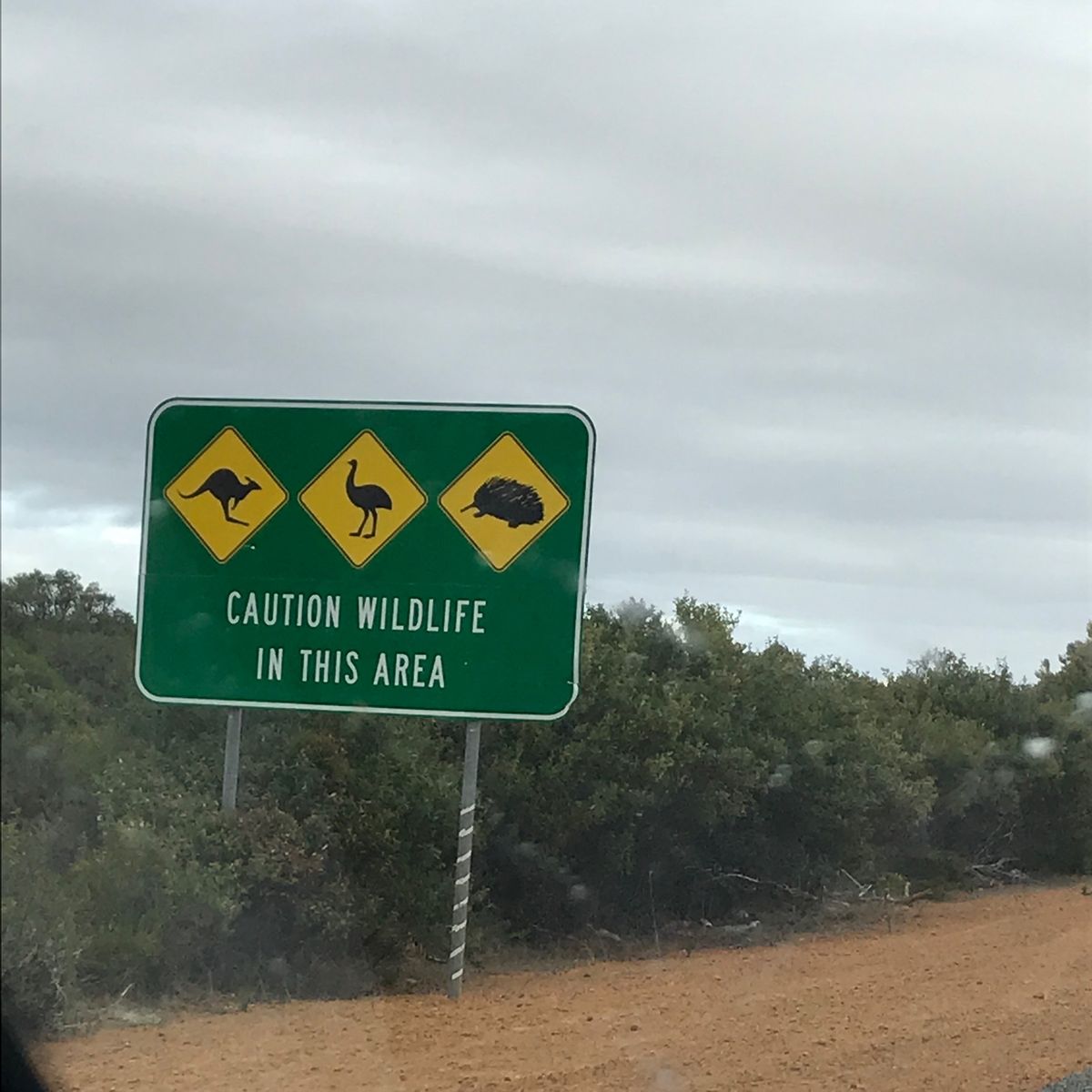 オーストラリアには珍しい動物標識がある。
車でけっこうなスピードで走ってる...