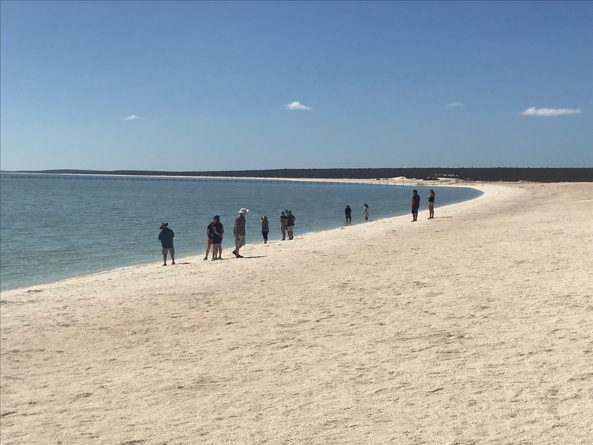 モンキーマイア から南下して憧れのシェルビーチに行ってみました。

海水の...
