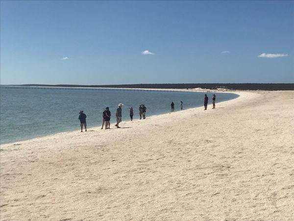 香港・香港「香港経由 西オーストラリアの旅」の写真：モンキーマイア から南下して憧れのシェル...