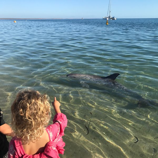 香港・香港「香港経由 西オーストラリアの旅」の写真：パースから約830km北上して、ついにシ...