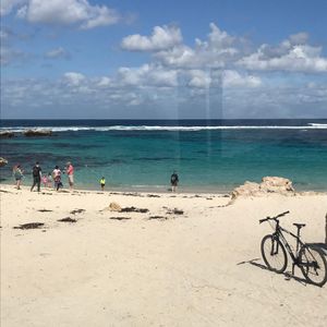 クオッカに会いにフェリーでロットネスト島へ⛴
自転車でまわる事も考えたけど...
