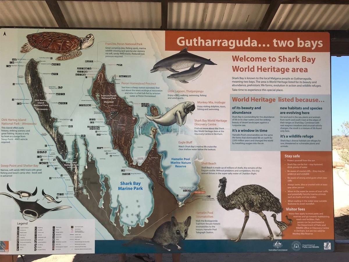 シャークベイの半島の根元にハメリンプールという場所があり、そこには35億年...