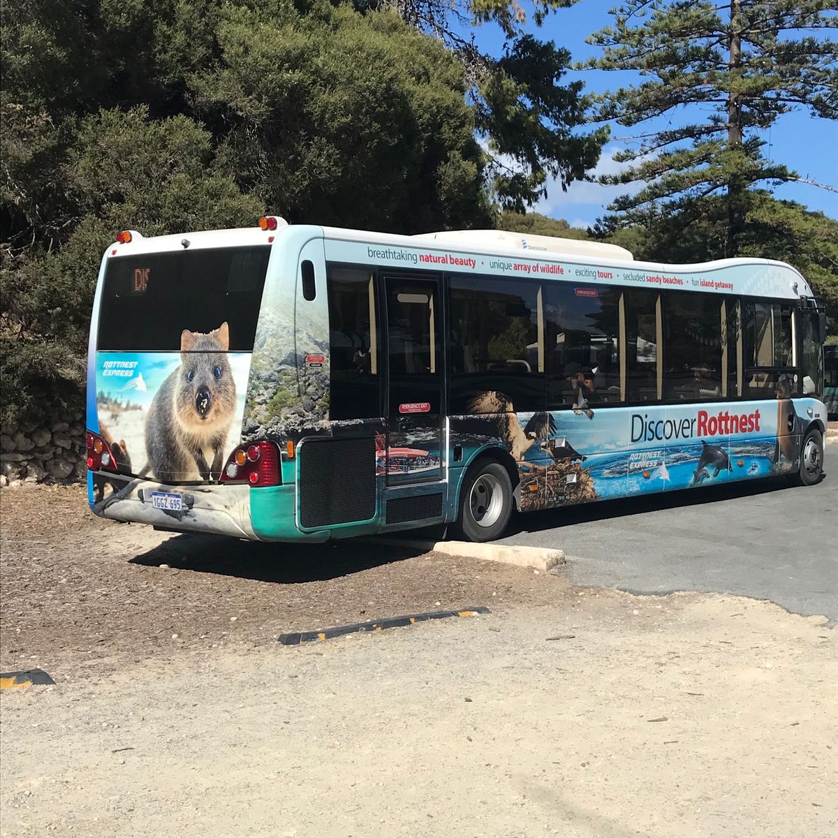 クオッカに会いにフェリーでロットネスト島へ⛴
自転車でまわる事も考えたけど...