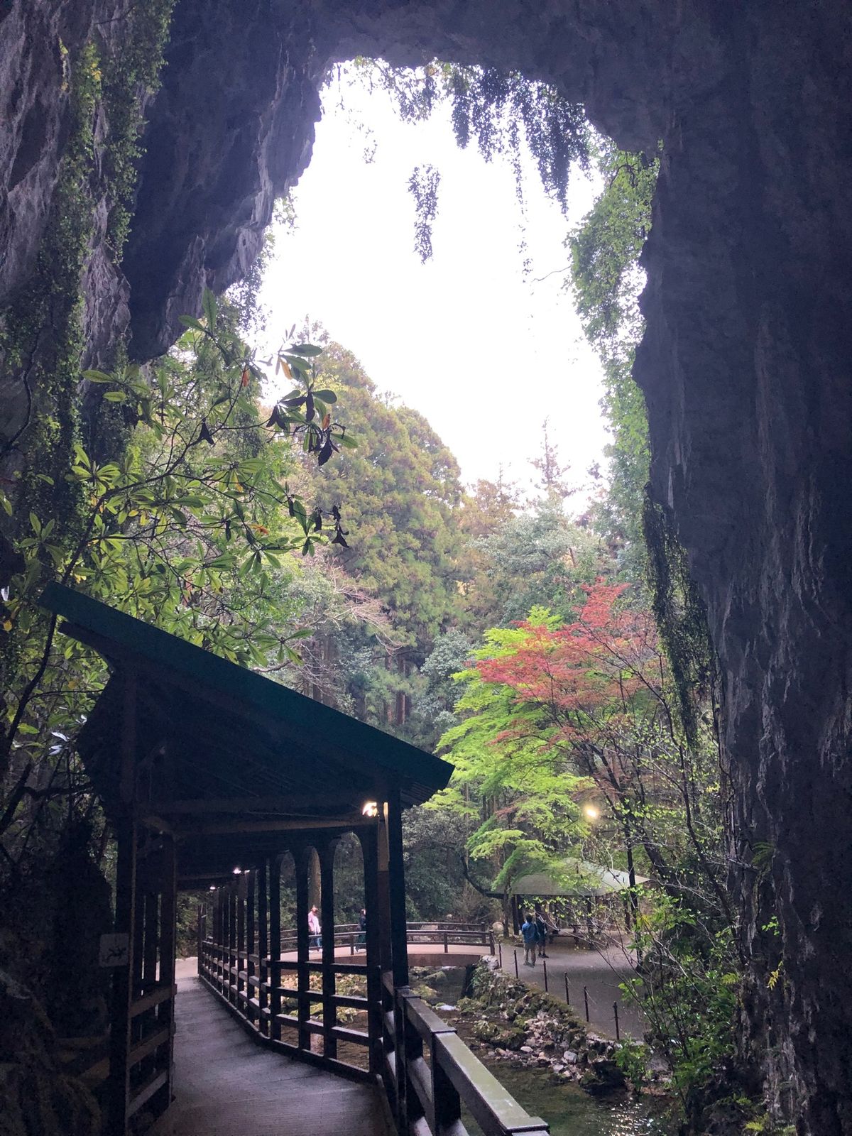 元乃隅稲荷神社、秋吉洞