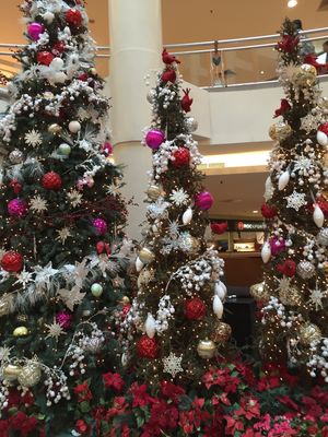 真夏のXmas✨