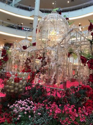 真夏のXmas✨
