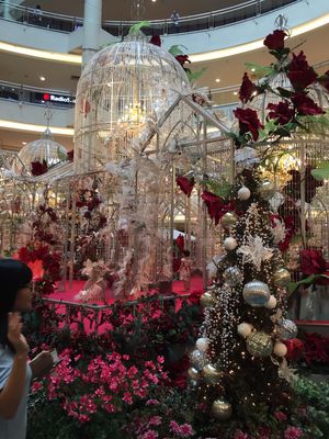 真夏のXmas✨