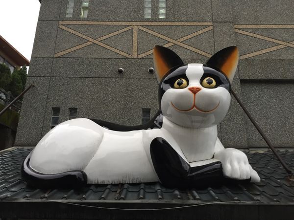 台湾・台北「台湾兄妹旅行」の写真