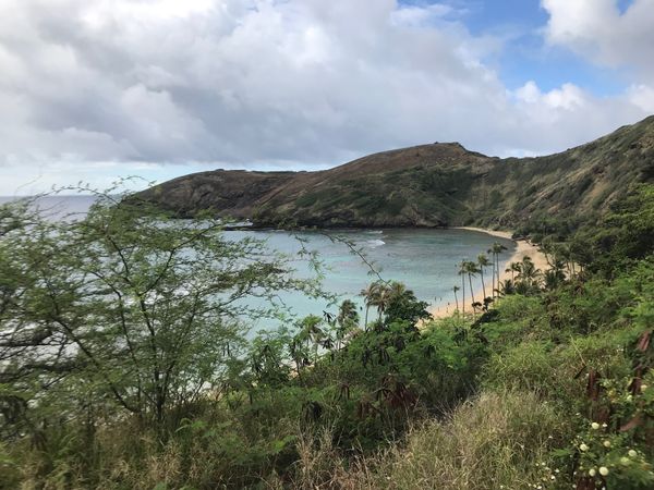 アメリカ(米国)・ハワイ「初ハワイ」の写真