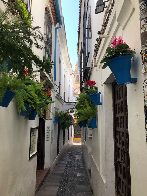 スペイン・バルセロナ「スペイン家族旅行」の写真