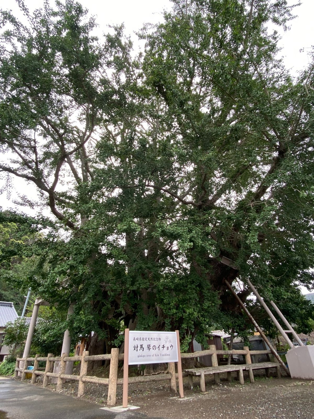 あいにくの天候でしたが、Ghost of Tsushimaのモデルになった...