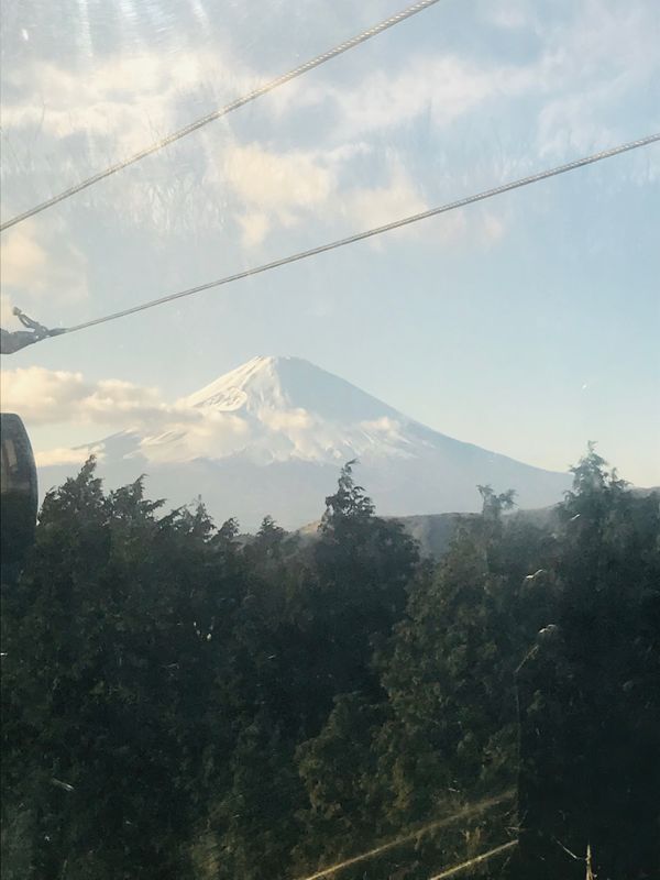 日本・箱根「箱根&相撲観戦&東京ディズニーシー」の写真