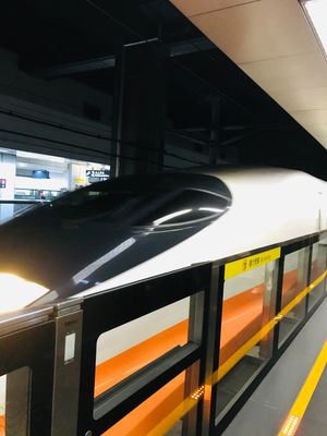 2度目の台湾旅行。今回は台北から新幹線に乗って高雄メインの観光。