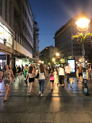 ベオグラードの夜
ベオグラードは、バルカン半島の中では、かなり都会っぽいか...