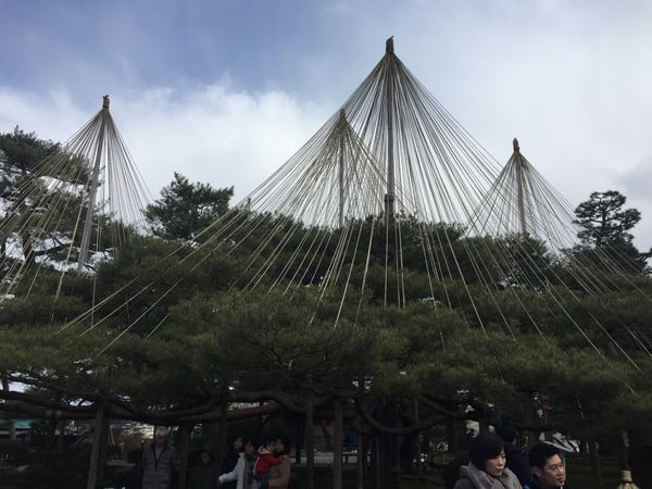 日本・福井県「北陸の旅」の写真