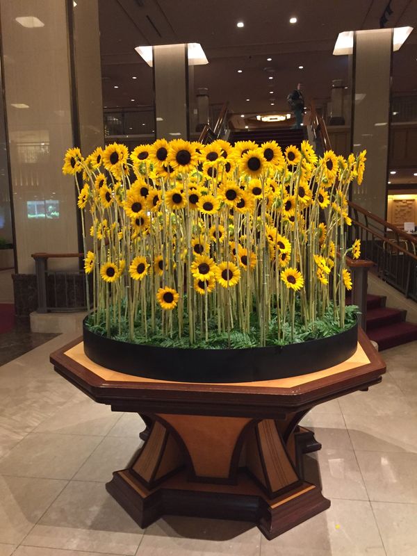 日本・神奈川県「TOKYO」の写真