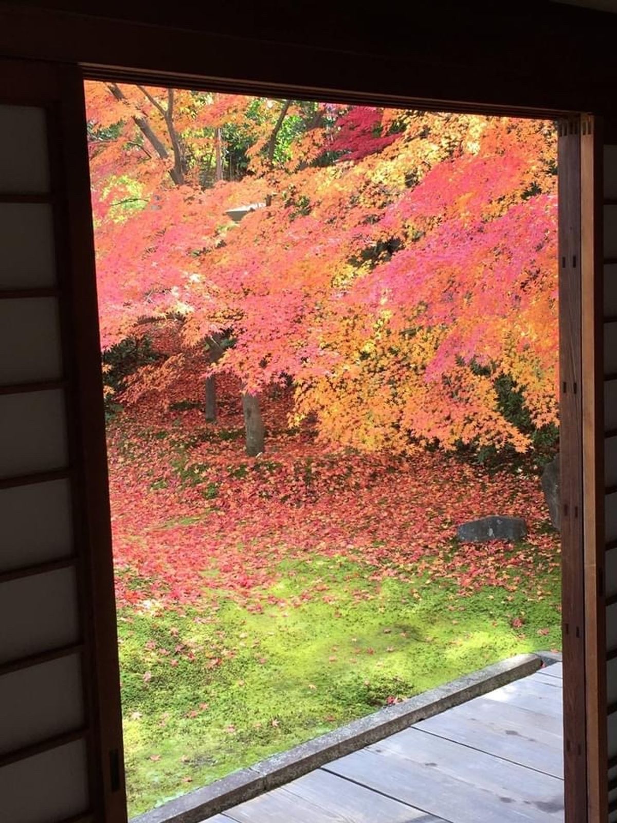 京都でも有数の紅葉の名所東福寺
