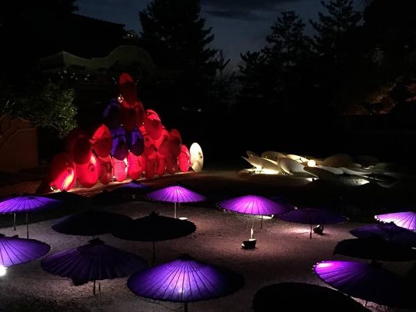 日本・京都府「京都・紅葉」の写真：高台寺のライトアップの紅葉