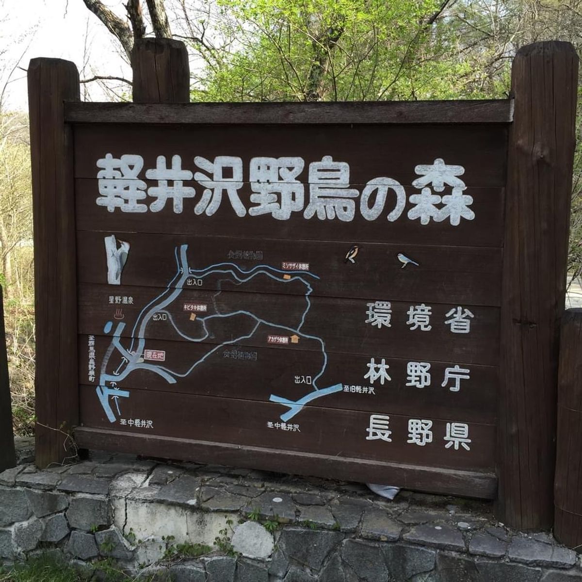 軽井沢野鳥の森でバードウォッチング。終わった後は星野温泉に