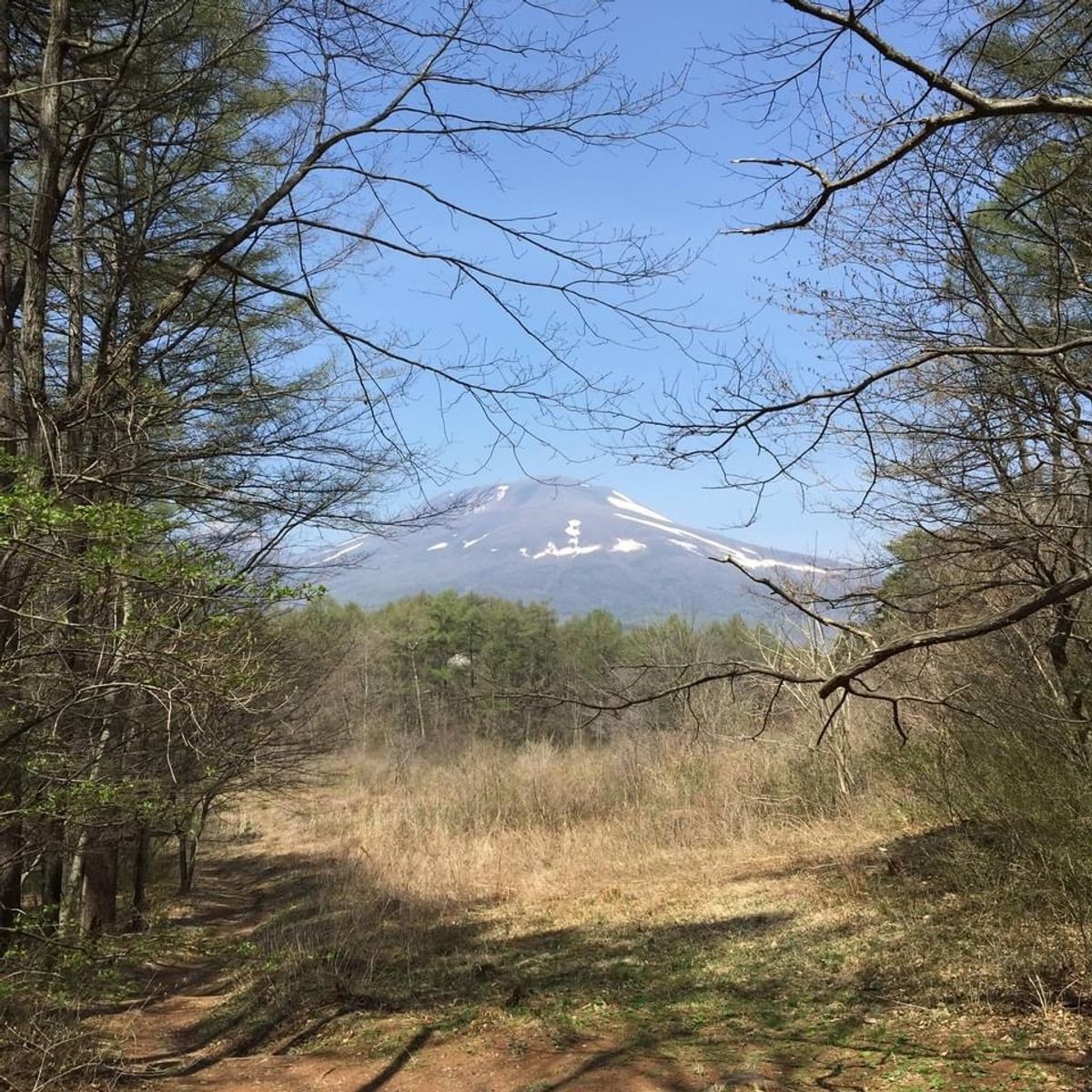 軽井沢野鳥の森でバードウォッチング。終わった後は星野温泉に