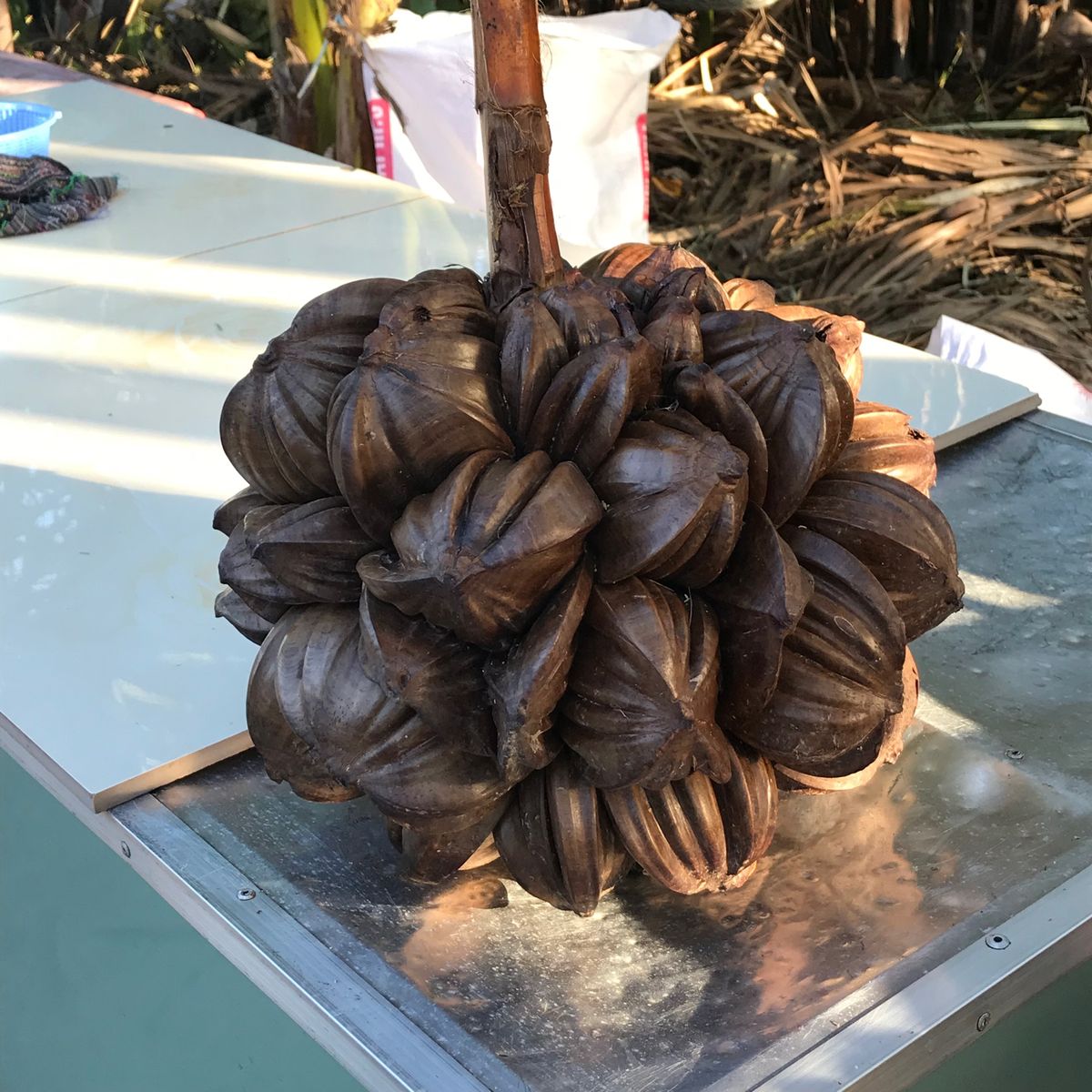 オプショナルツアーに申し込んでメコンデルタ半日観光。
私は２度目なので、午...