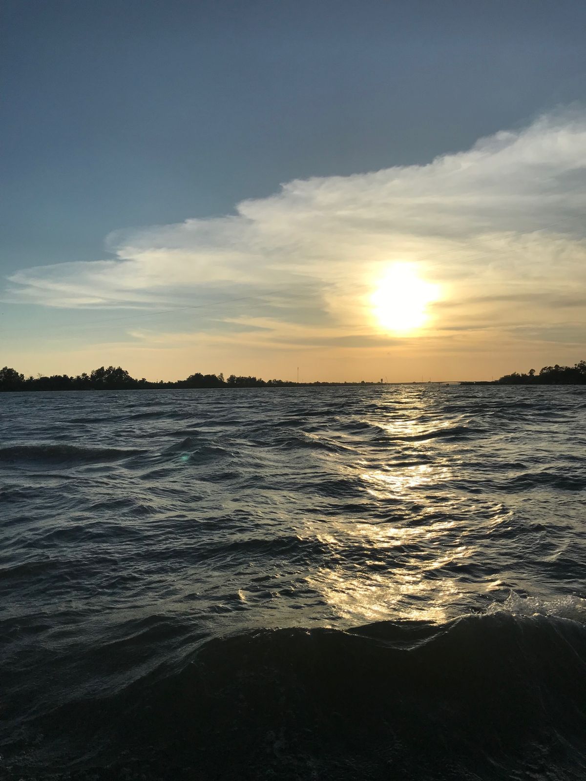 オプショナルツアーに申し込んでメコンデルタ半日観光。
私は２度目なので、午...