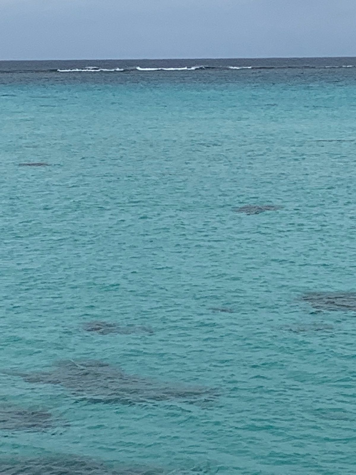 下地空港近くの渡口浜へ。
日本とは思えない海のキレイさ✨ずっーと、見ていた...