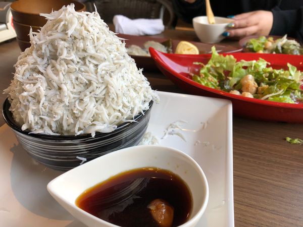 日本・和歌山県「友ヶ島日帰り_女子3人旅」の写真