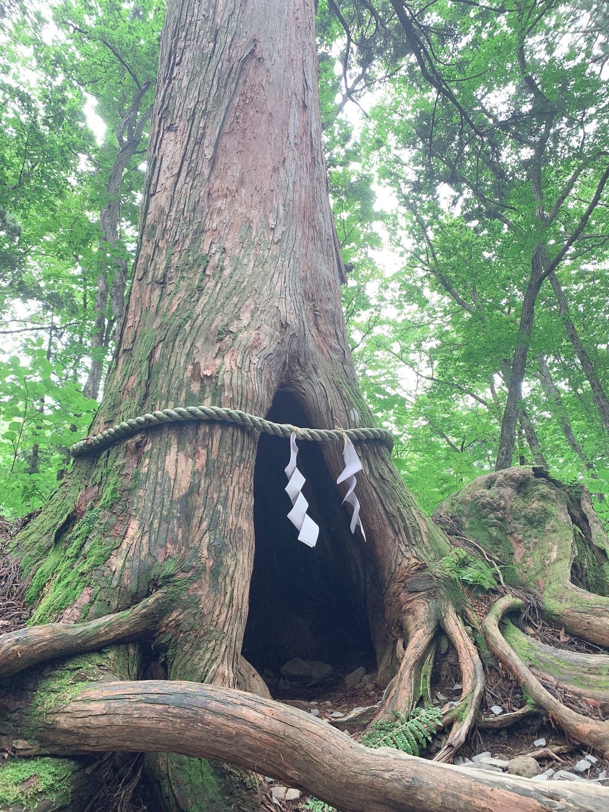 長野県戸隠神社