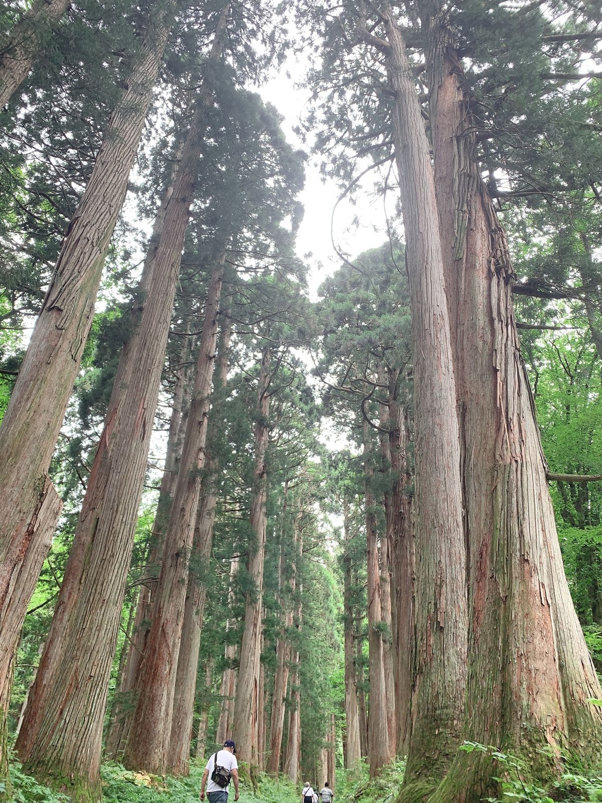 長野県戸隠神社