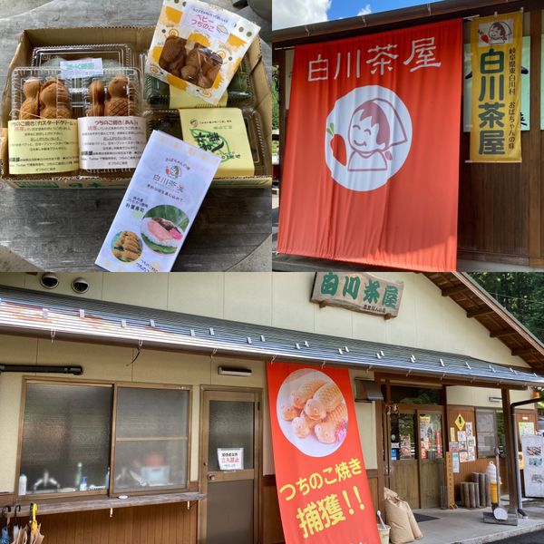 日本・岐阜県「つちのこ」の写真：つちのこ捕獲してきました！笑