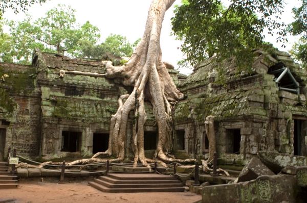 カンボジア・シェムリアップ「カンボジア遠征」の写真：シェムリアップ
●タ・プローム（世界遺産...